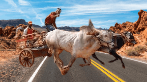 Bullock Cart