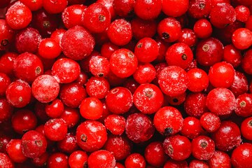 Cranberry