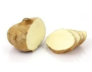 Jicama fruit