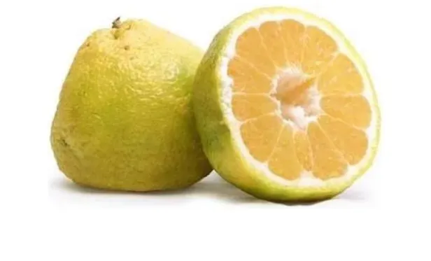 Ugli fruit